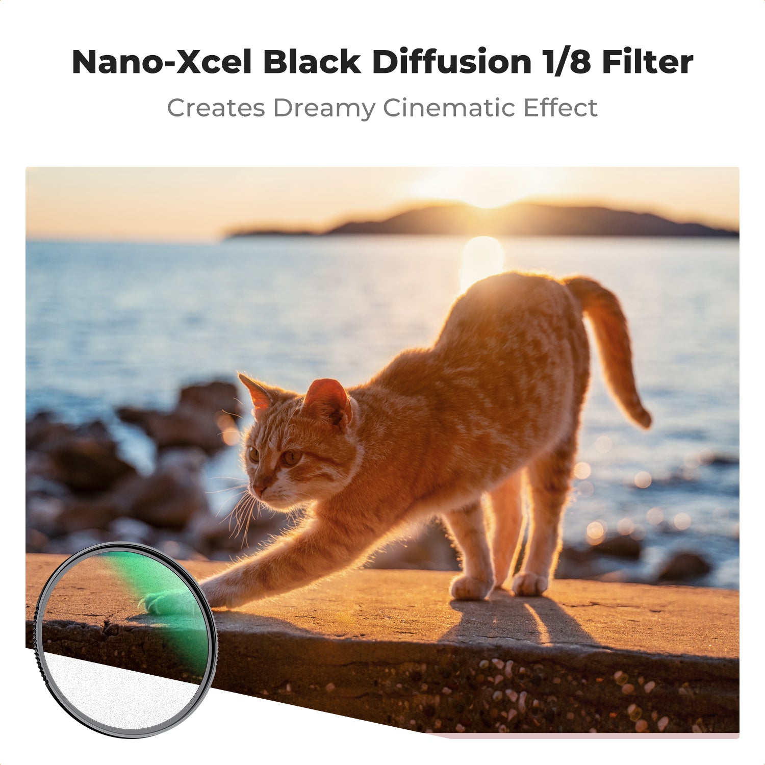 Black Mist Filter 1/8 Special Effects Filter Nano-Xcel Series Black Mist Filter 1/8 Special Effects Filter Nano-Xcel Series